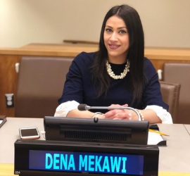 Dena Mekawi: Embracing Representation Through Narrative